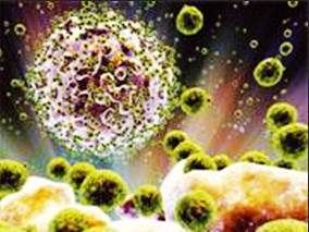 万古霉素最小抑菌浓度与金黄色葡萄球菌菌血症患者死亡率无关