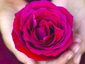 绝经前女性中宫颈癌治疗后使用激素治疗的有效性如何？