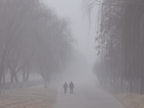 短期PMc暴露与肺炎急诊住院是否相关？