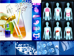 针对监护协作的质量提升措施对减少卫生服务占用率的效果