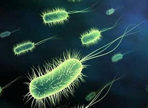 妊娠早期妇女接受益生菌能降低妊娠糖尿病的发生率