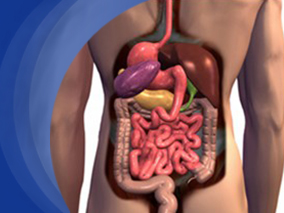 确诊结直肠癌后服用低剂量阿司匹林不能延长生存期