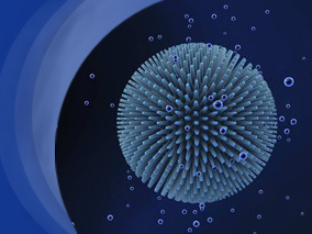 CYP2B6 18492T→C多态性使得携带CYP2B6单倍型*1/*1的患者的依法韦仑浓度降低