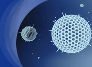 初始AUC/MIC较低是万古霉素治疗MRSA菌血症失败的一个独立风险因素