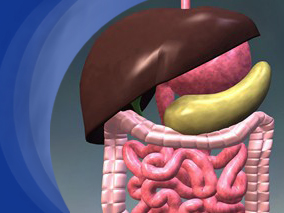 绝经后激素替代疗法可增加急性胰腺炎风险