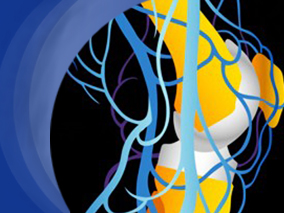 中草药治疗骨质疏松症的疗效如何？