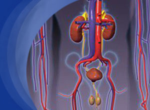 1至4期早期慢性肾病患者的医疗知识匮乏