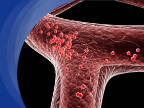 血管发育不良和胃窦血管扩张的治疗方法？