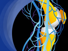 骨质疏松治疗药物的静脉血栓发生风险是否相同？