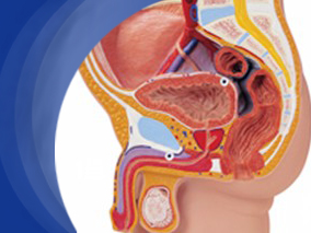 阿司匹林和其它非甾体抗炎药对前列腺癌发生率和死亡率的影响