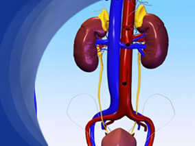 当前环境下淋病控制的最佳策略