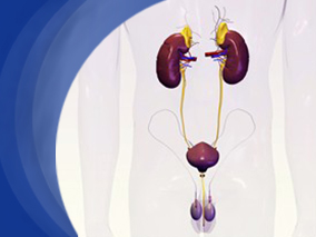 奥美拉唑如何导致急性间质性肾炎的发生？