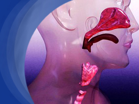 异丙托溴铵在12～24岁哮喘患者中，引起心律失常的风险