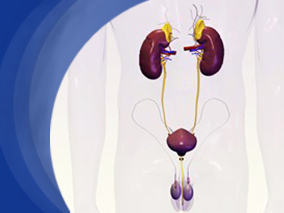 初始类固醇敏感可以高度预测激素耐药型肾病综合征儿童移植后复发