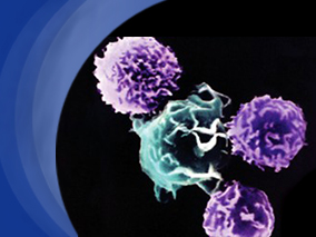 来那度胺联合R-CHOP21对未经治疗的DLBCL老年患者有效且安全