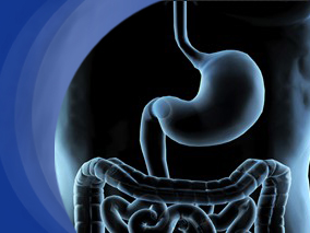 确诊结直肠癌后高摄入钙、VD和乳制品与较低的死亡风险相关