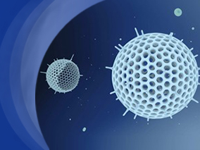 磷霉素联合亚胺培南作为MRSA导致的菌血症和心内膜炎的补救疗法安全有效