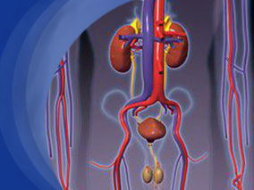 浓度控制的麦考酚酸酯治疗增生性狼疮性肾炎具有较好的肾脏反应
