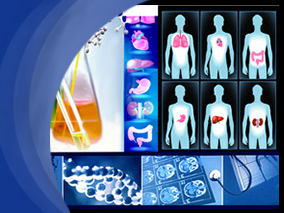 全新护理管理模式能否在慢性病成年患者的门诊管理中的起作用