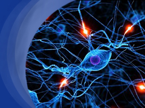 纳曲酮治疗PD患者中ICD的有效性和耐受性如何?