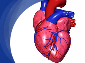 酒石酸美托洛尔vs阿替洛尔预防全因和心血管死亡率的有效性