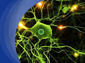 肉毒杆菌素A对于MS或脊髓损伤患者尿失禁的治疗具有显著疗效