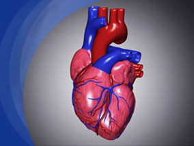 秋水仙碱辅助治疗可降低急性心包炎的复发率