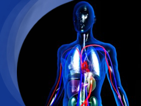 尿液中钠钾排泄情况与血压的相关性