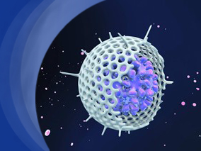 基线25(OH)D水平与丙肝治疗SVR之间有无关联?