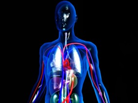 急性缺血性卒中时进行血管造影再灌注的时机