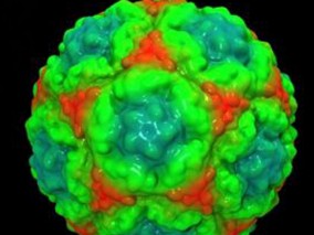 粘菌素适用于细菌快速根除和提高临床治愈率