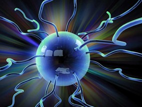 利妥昔单抗联合化疗短期高强度治疗可改善成人Burkitt淋巴瘤的结局