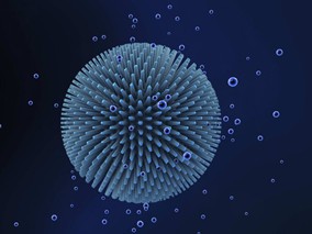 静脉给予米诺环素治疗耐碳青霉烯类革兰氏阴性杆菌的疗效