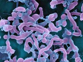 幽门螺杆菌根除率的疗效：10天序贯疗法vs14天三联疗法