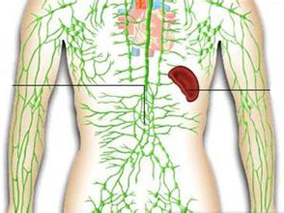 早期结外鼻型NK/T细胞淋巴瘤基于风险的分级治疗