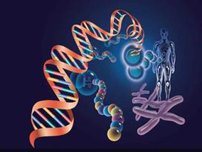 ALL儿童糖皮质激素相关股骨头坏死的遗传风险因素