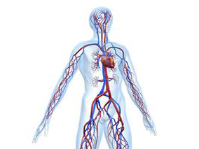西地那非对心衰伴肺动脉高压患者侵袭性血流动力和运动能力的影响