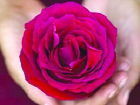 钆双胺间质MR淋巴造影术有效诊断宫颈癌患者的淋巴结转移