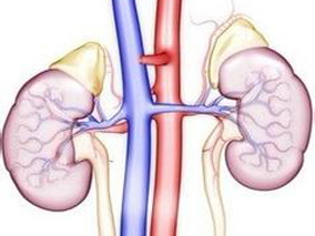基线肾损伤患者静脉注射伏立康唑不会发生肾功能恶化