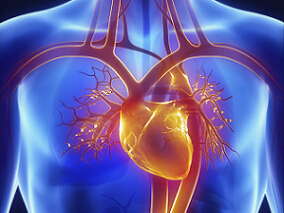 亚硝酸盐能否改善HFpEF患者运动时血流动力学和心脏储备能力？