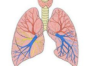 雾化吸入高渗盐水治疗急性毛细支气管炎的有效性和安全性