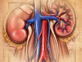 晶体缓冲液不会降低ICU患者的急性肾损伤风险