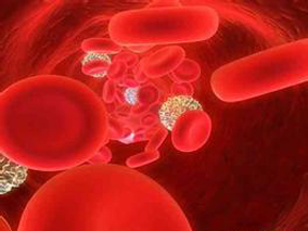 头孢吡肟能否有效治疗头孢吡肟-SDD阴沟肠杆菌菌血症?