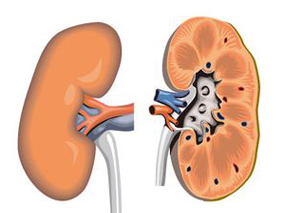 VEGFR靶向治疗后进展的肾细胞癌治疗：卡博替尼vs依维莫司
