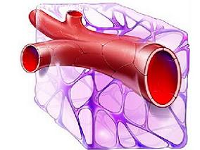 3%高渗盐水和生理盐水对于毛细支气管炎患儿的疗效比较