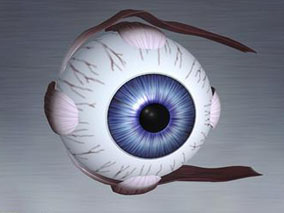 雷珠单抗可作为糖尿病视网膜病变的一种替代治疗选择