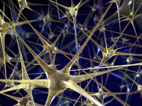 院前全身惊厥性癫痫持续状态：氯硝西泮vs氯硝西泮+左乙拉西坦