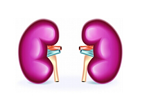 盐皮质激素受体拮抗剂可为慢性肾病患者提供心血管获益