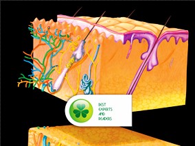 欧洲过敏性皮炎的超说明书用药情况