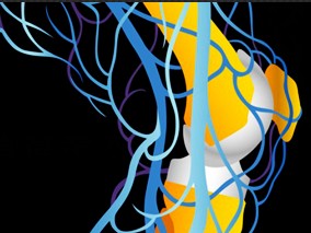 舒尼替尼用于化疗难治性胸腺瘤和胸腺癌患者